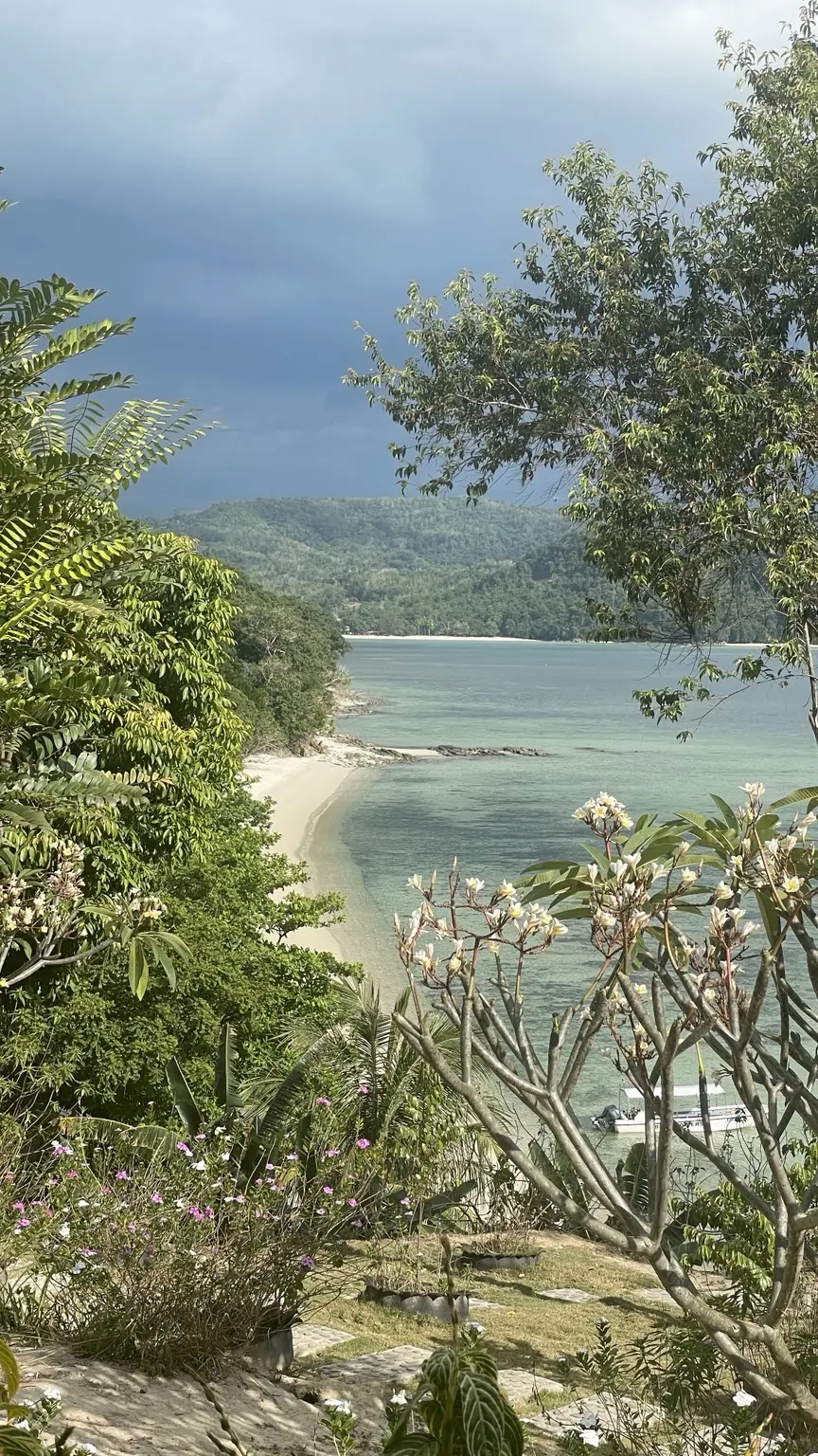 Blick durch tropische Pflanzen auf eine geschützte Bucht mit hellem Strand in Sabah.