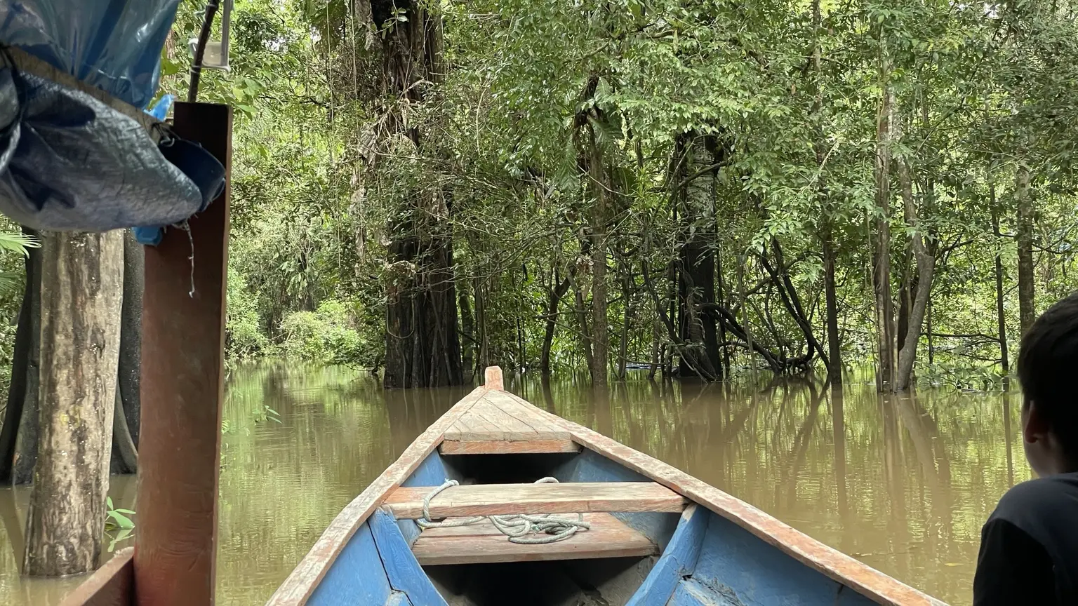 Blick aus dem Boot in einen engen überfluteten Wald im Amazonasgebiet
