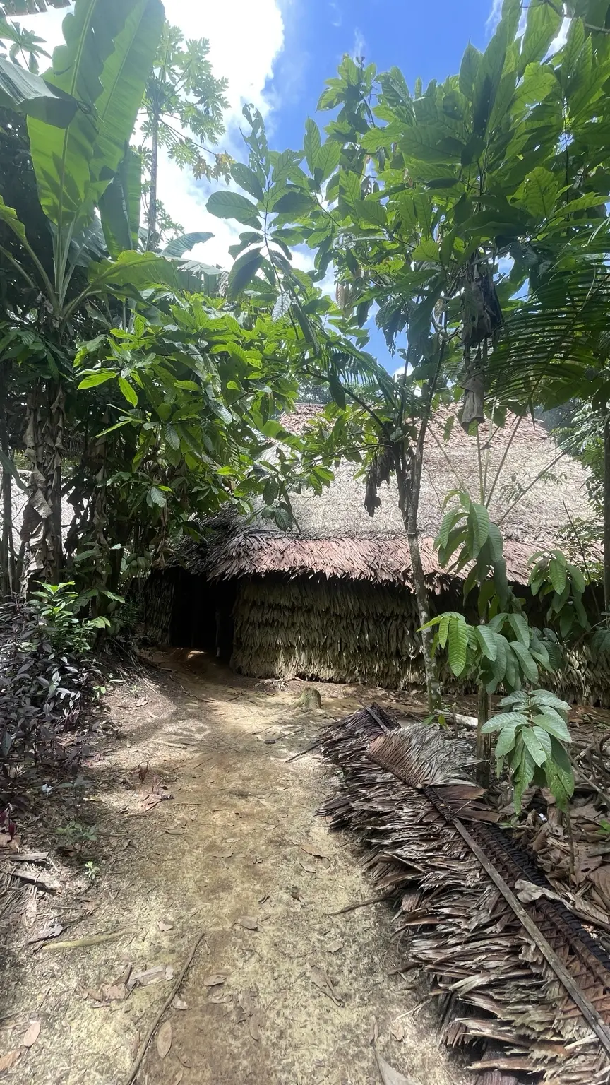 Mit Palmblättern gedeckte Unterkunft zwischen dichter Vegetation im Amazonas