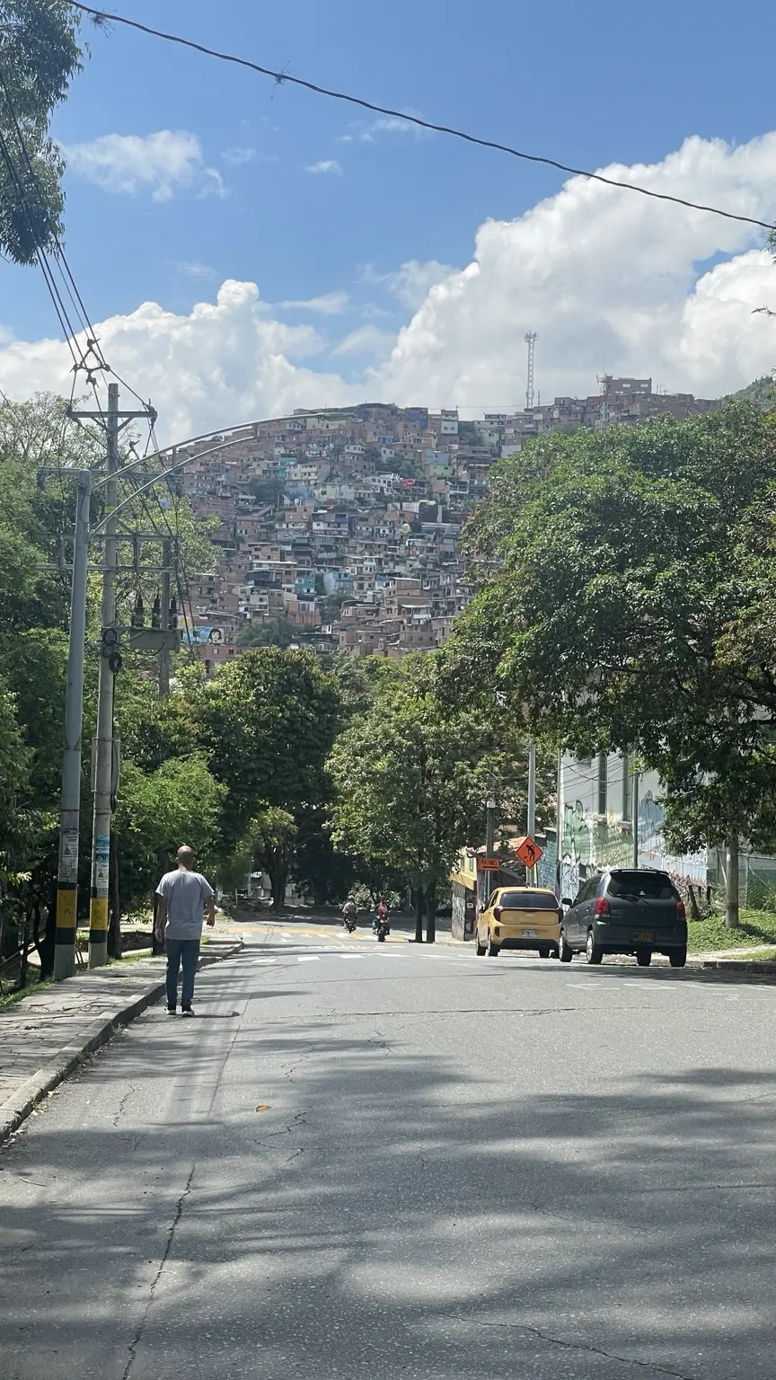 Grüne Straße in Medellín mit dicht bebauten Häusern am Hang im Hintergrund