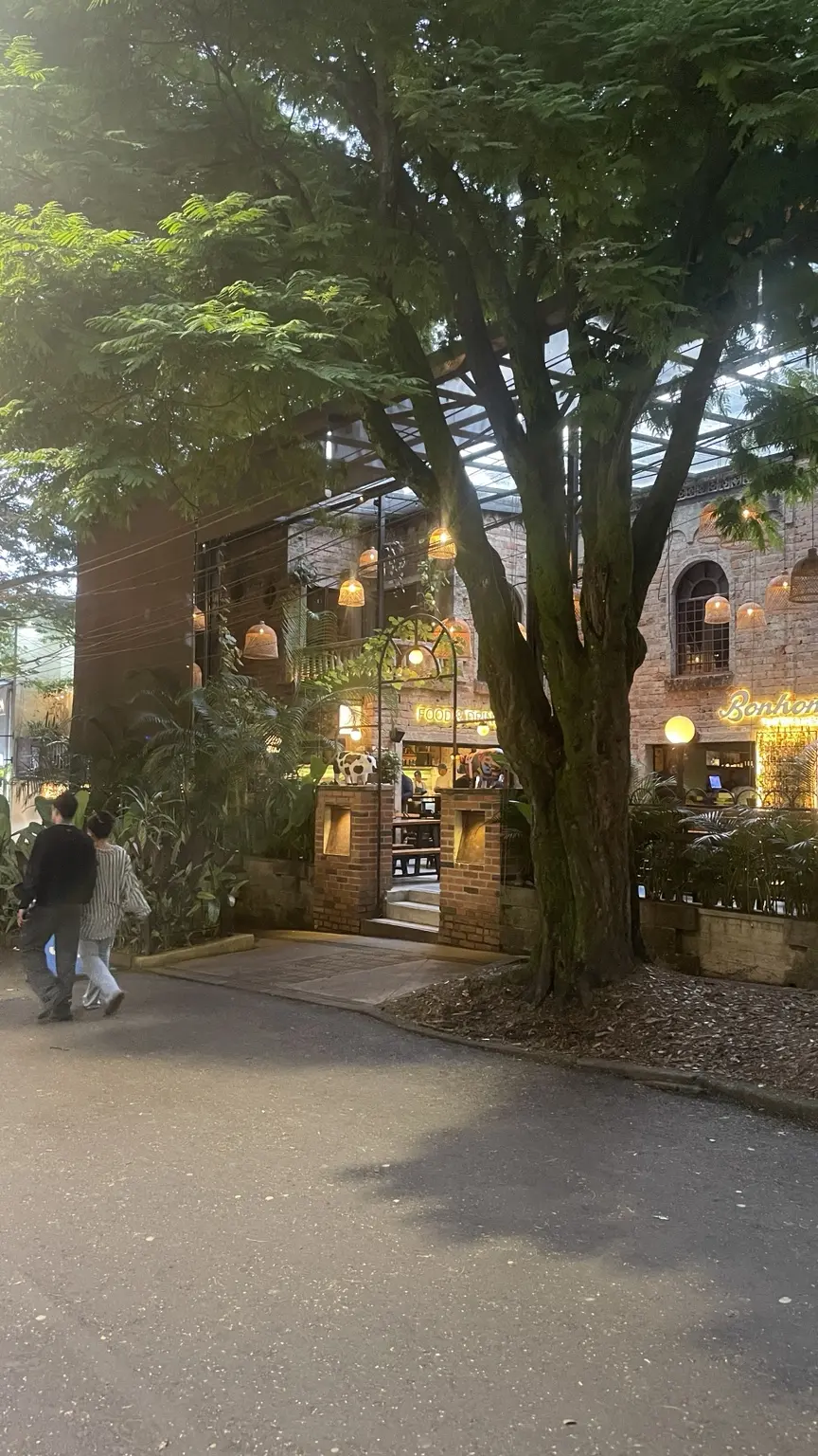 Beleuchtetes Restaurant mit großen Bäumen am Abend in Medellín