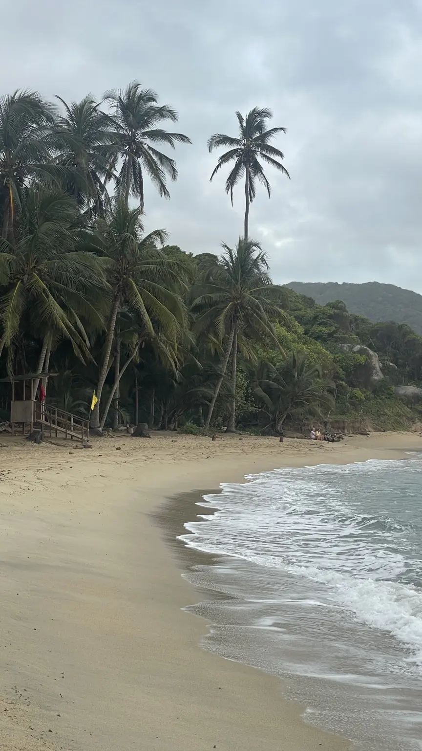 Naturstrand mit Palmen und bewaldeten Felsen im Tayrona-Nationalpark