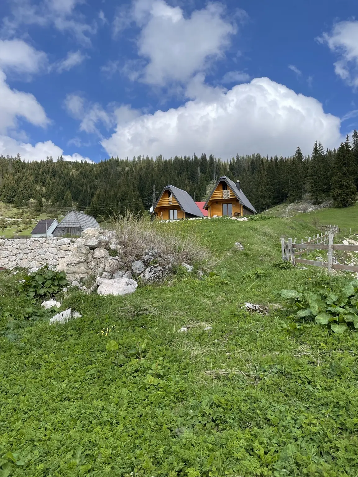 Holzhütten auf einer grünen Wiese am Rand des Durmitor-Gebirges