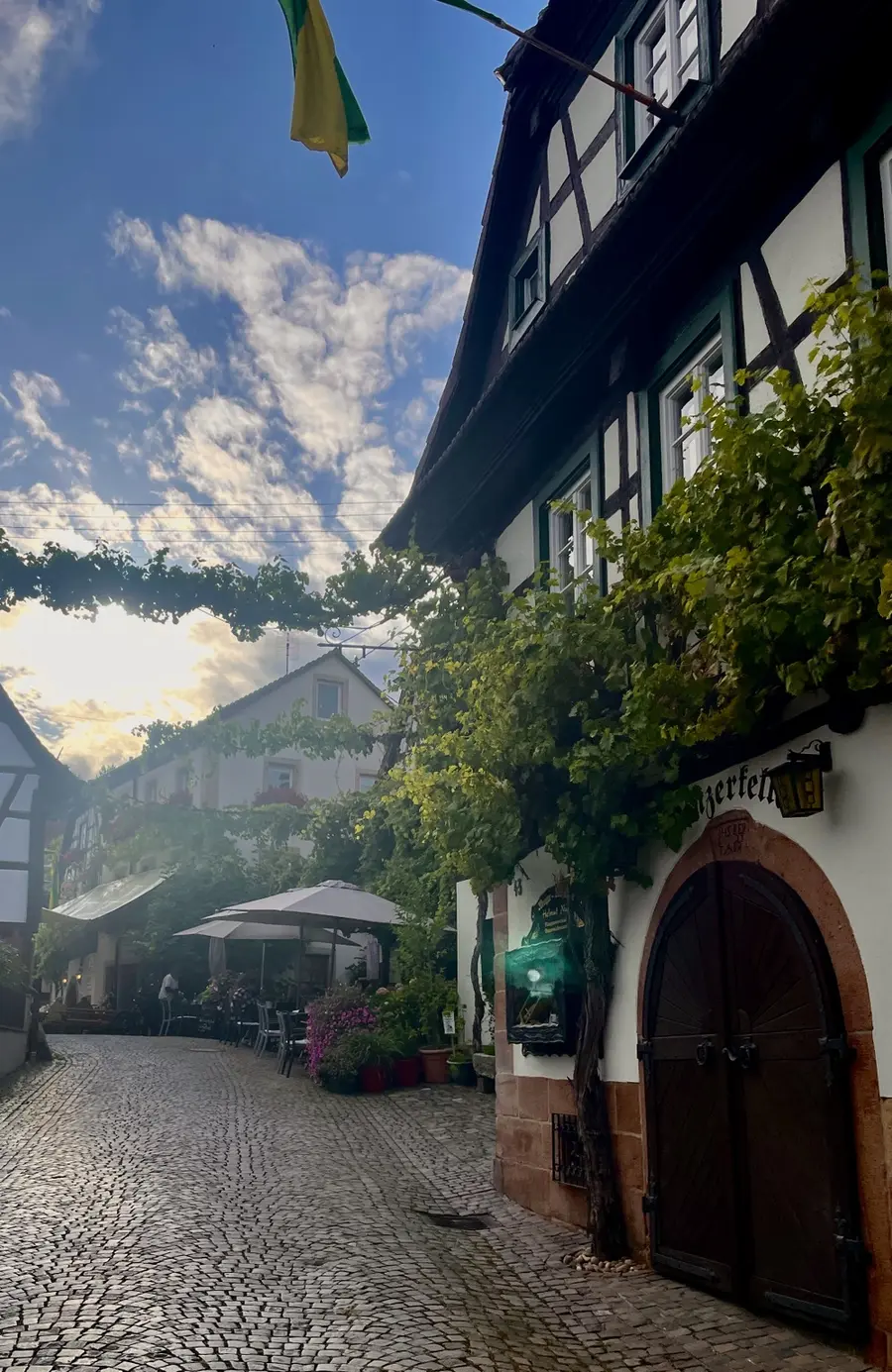 Historische Winzergasse mit Fachwerkhäusern und Weinreben in Gleiszellen-Gleishorbach