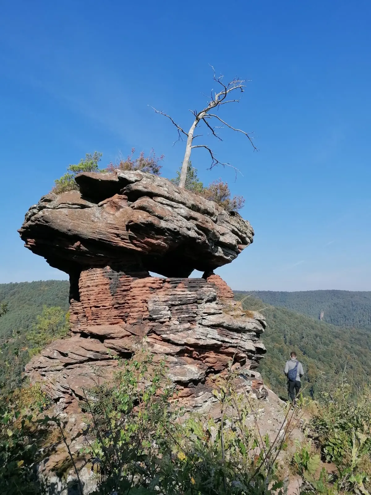 Sandsteinfelsen im Pfälzerwald