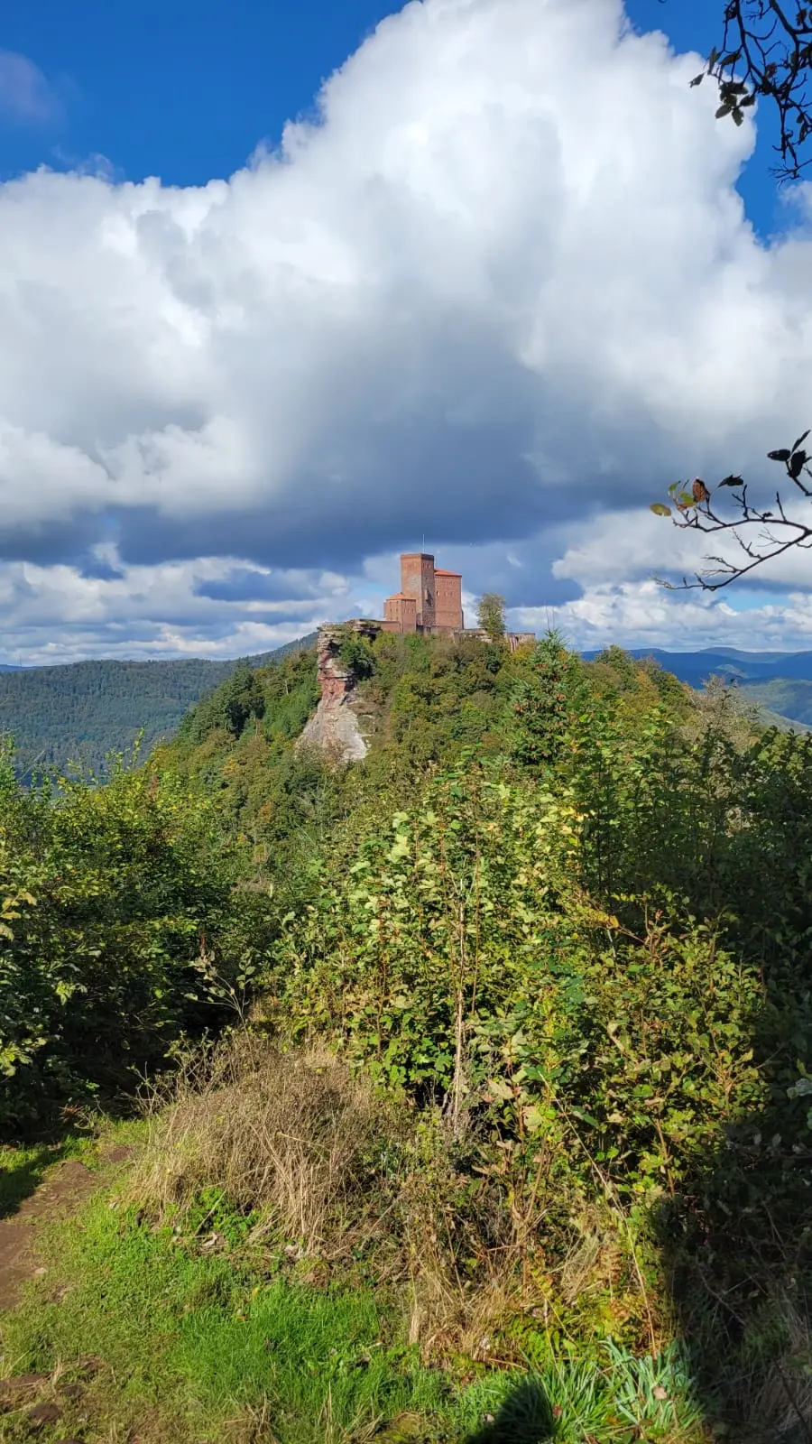 Blick vom Wanderweg auf die Reichsburg Trifels über den bewaldeten Hügeln bei Annweiler