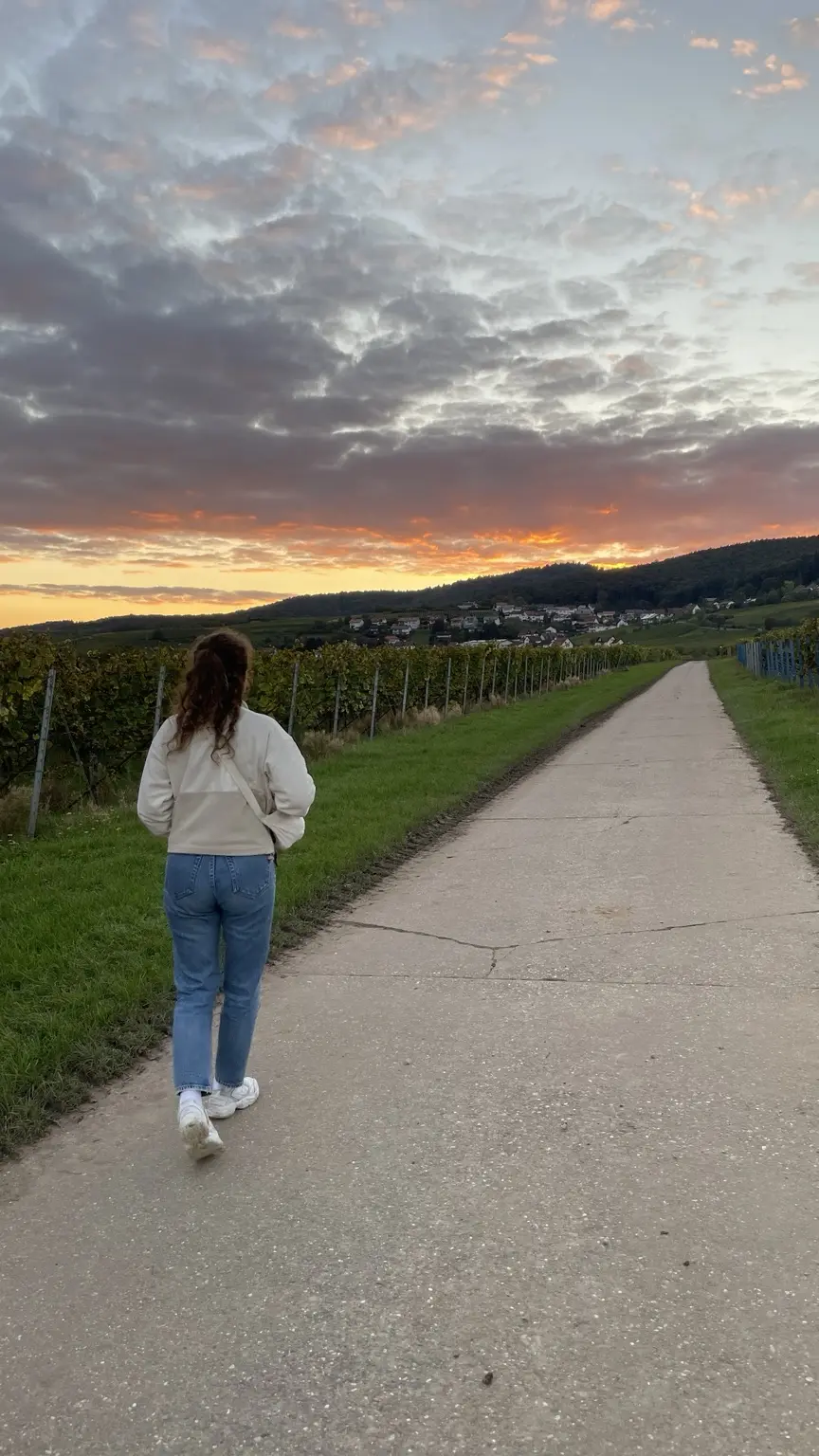 Frau auf einem Weg zwischen Weinbergen bei einem farbigen Sonnenuntergang