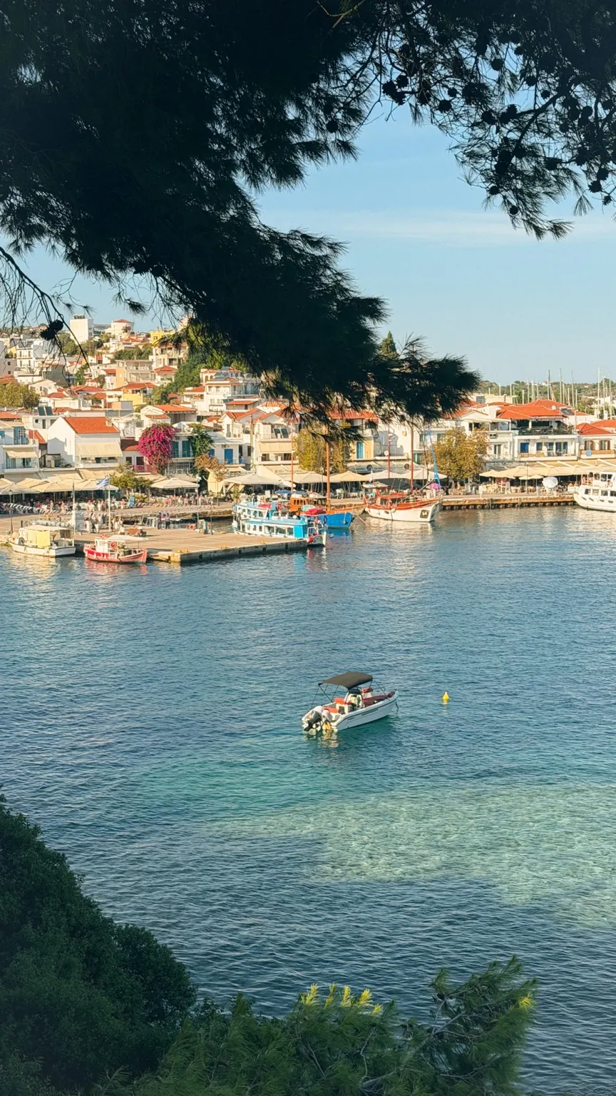Blick über den Hafen auf Skiathos-Stadt