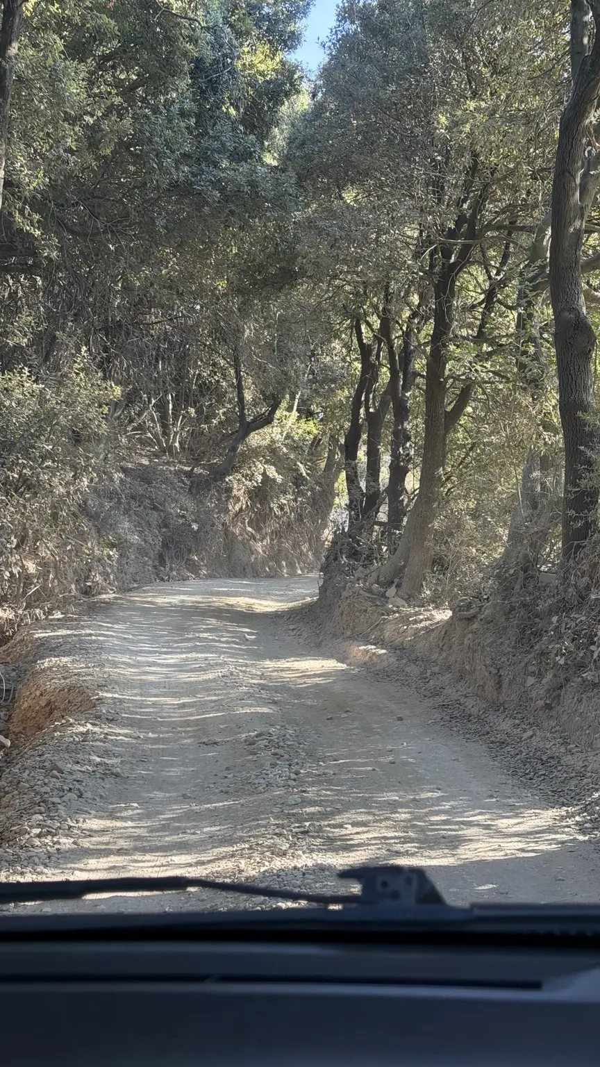 Schmale unbefestigte Straße durch den Wald auf dem Weg zum Kastro auf Skiathos