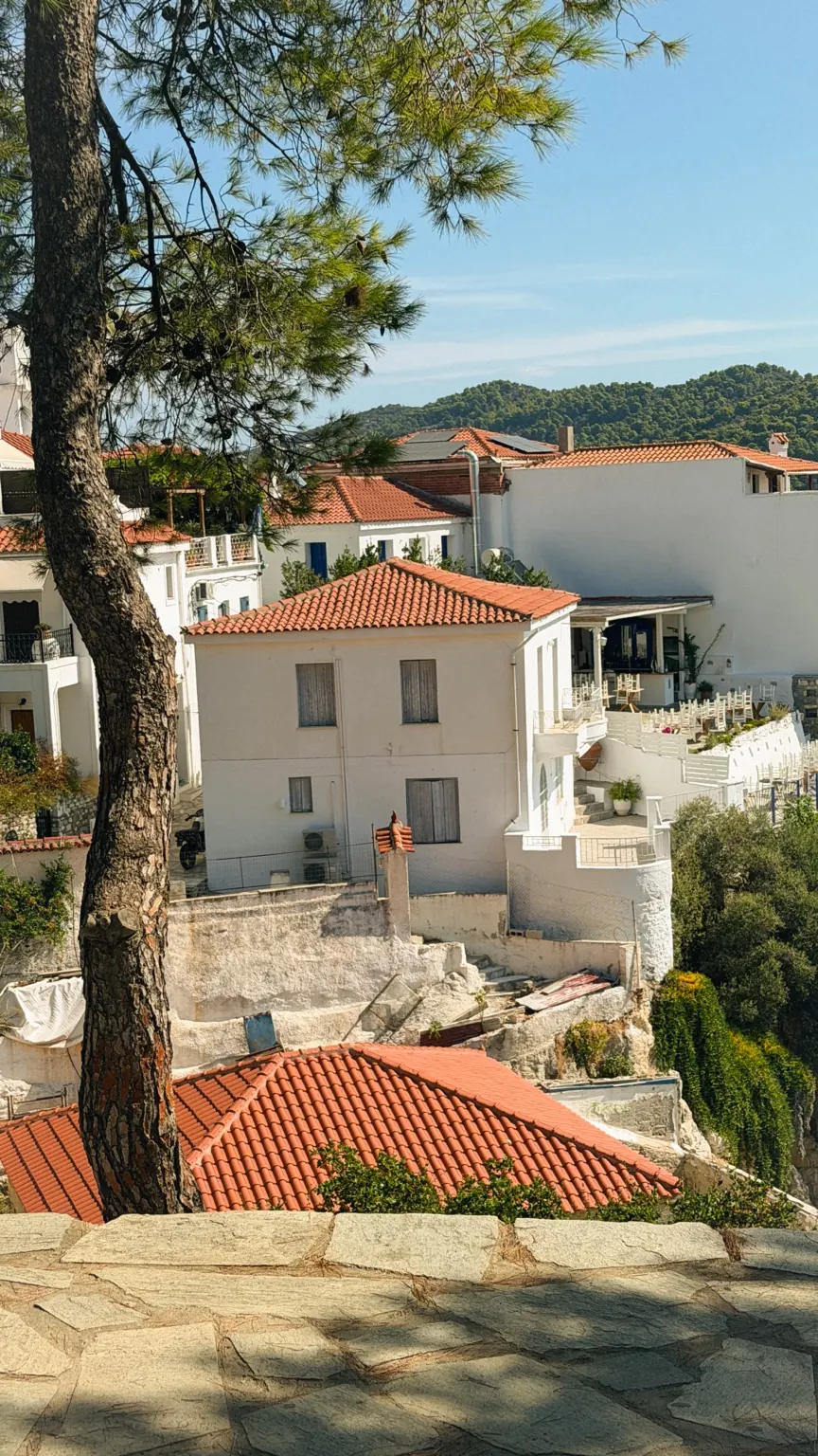 Weiße Häuser und rote Dächer in Skiathos-Stadt