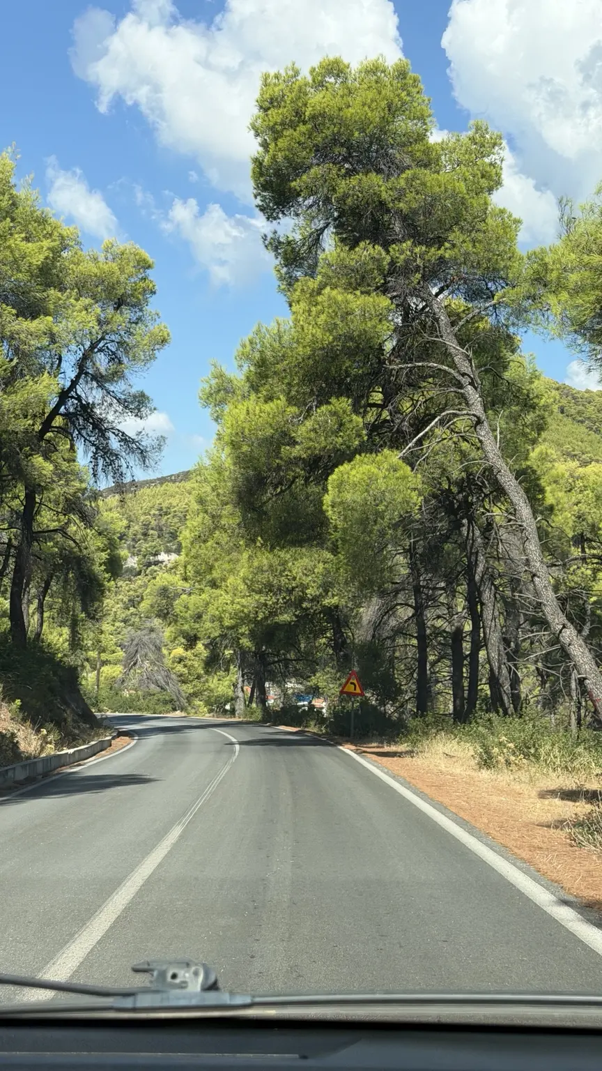 Straße, die durch Pinien auf Skopelos führt