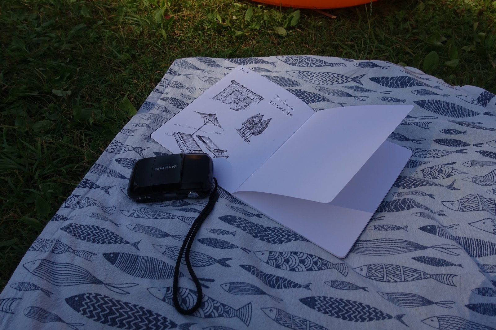 Aufgeschlagenes Reisetagebuch und Kamera auf einer Picknickdecke