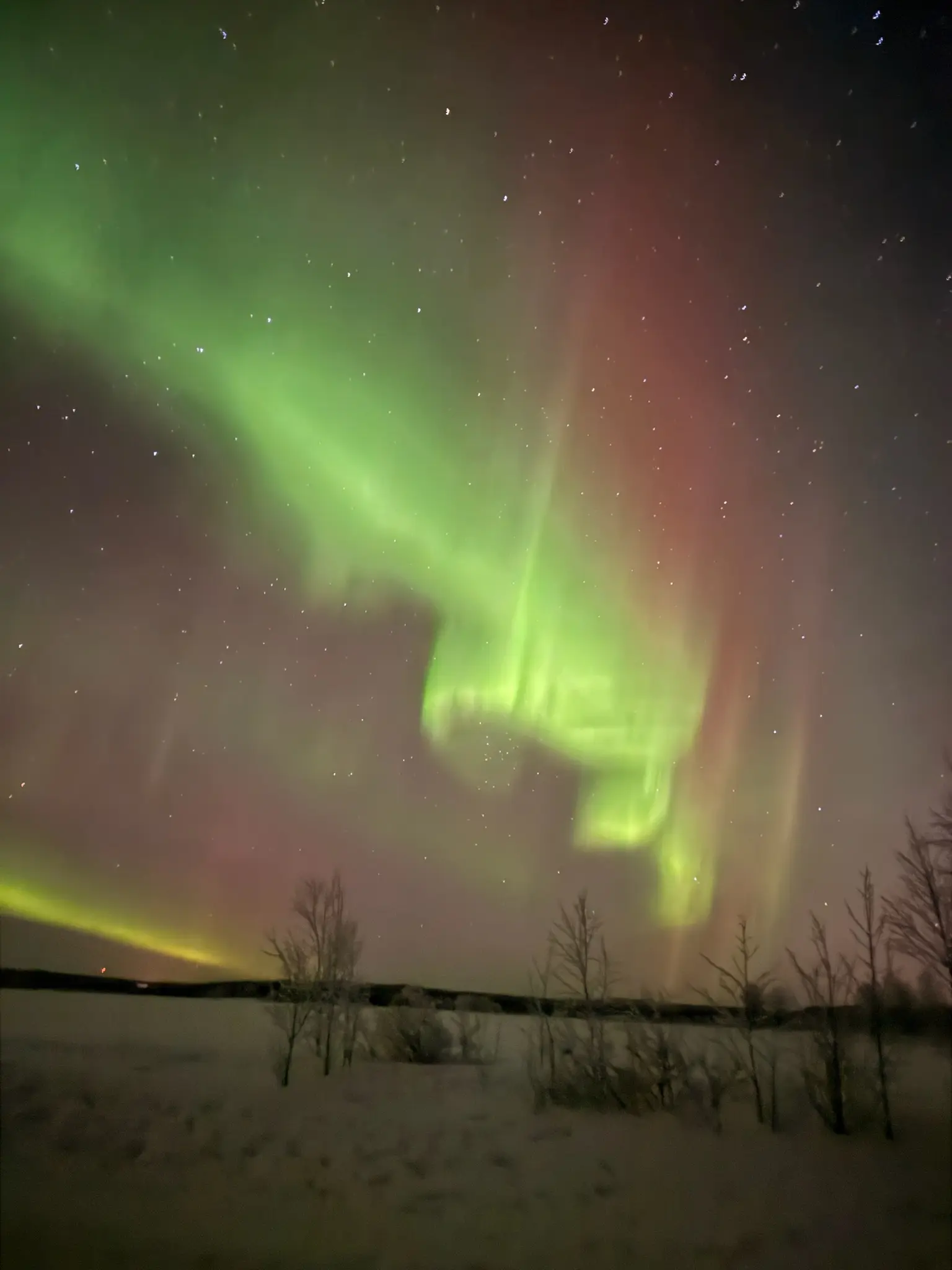 Kräftige grüne und rötliche Nordlichter über einer verschneiten Landschaft in Finnisch-Lappland