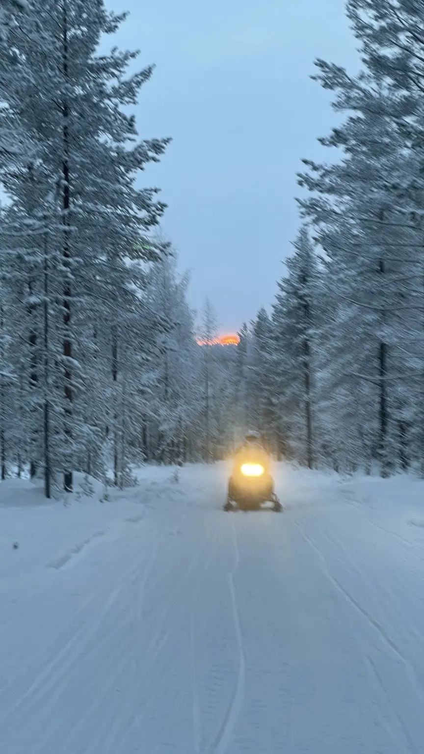 Schneemobil fährt mit eingeschaltetem Scheinwerfer auf einem verschneiten Weg durch den finnischen Winterwald