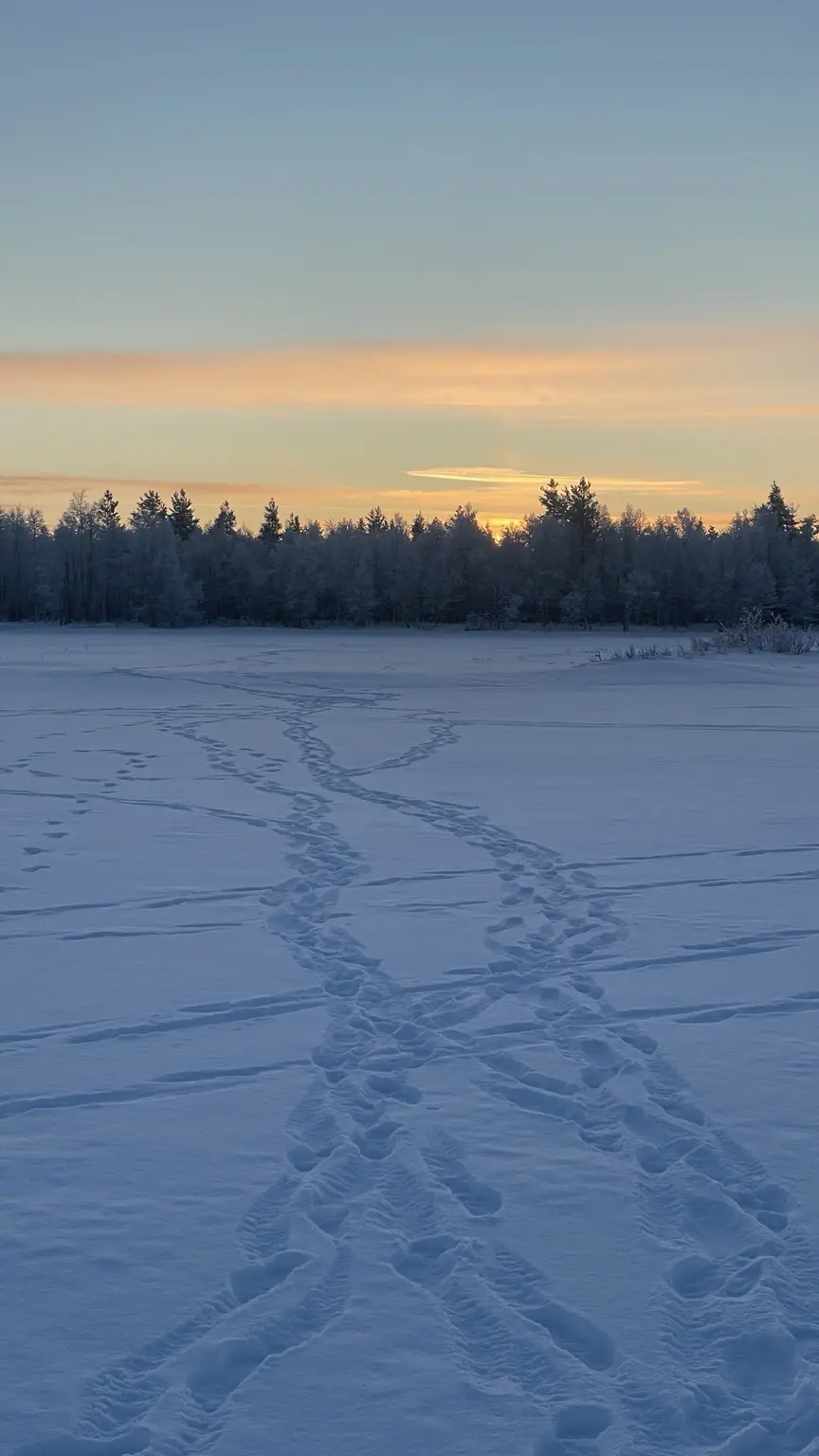 Spuren führen über eine verschneite Fläche zur tief stehenden Wintersonne