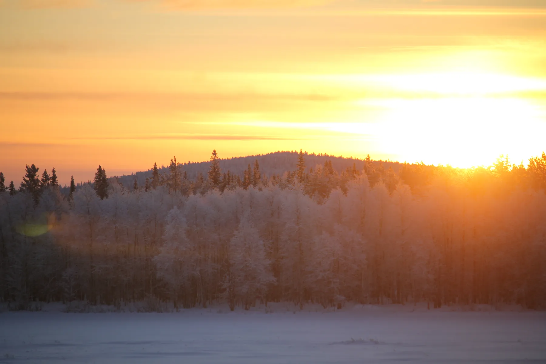 Tief stehende Wintersonne über dem verschneiten Wald bei Ylitornio in Finnisch-Lappland