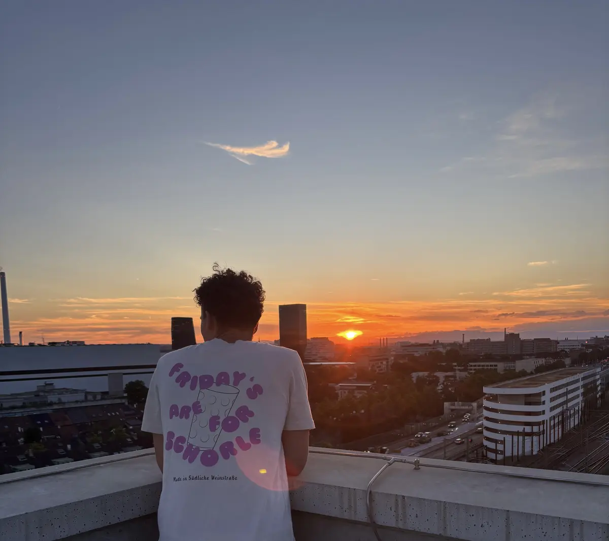 Person mit dem Pfalz-Shirt Fridays are for Schorle vor einem Sonnenuntergang